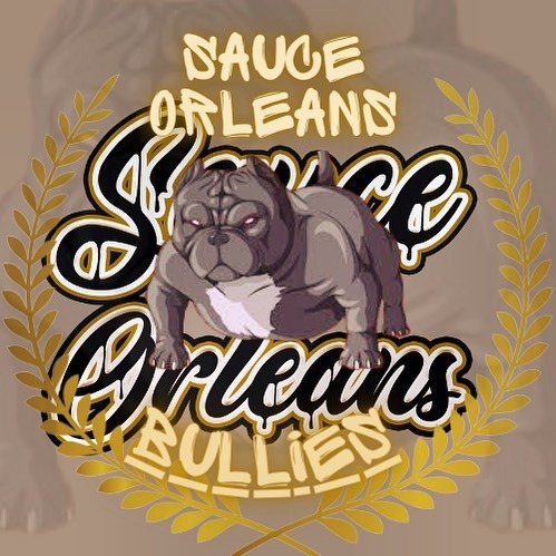 Get Real Familiar With This Name/Brand because a whole lot of $auce is dripping from this yard🦍🦍🦍🦍🦍🔥🔥🔥🔥🤞🏾<a href="/tag/sauceorleansbullies"class="tags"><span>#sauceorleansbullies</span></a>