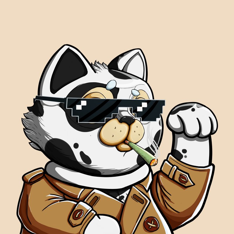 Stophidox's tweet photo. #NouvellePhotoDeProfil 🍀📈 https://t.co/HEZXPLTQ6M