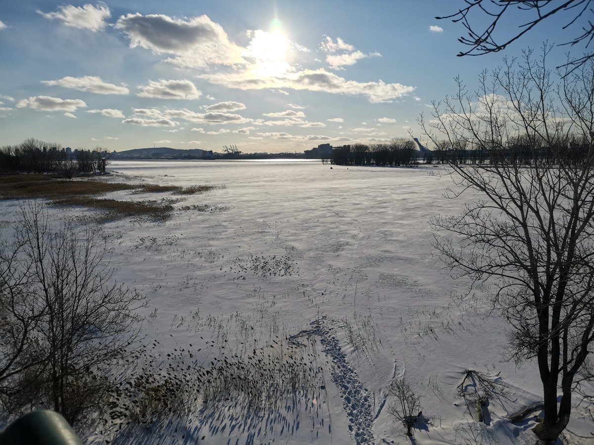 Laëtitia B. tweet media