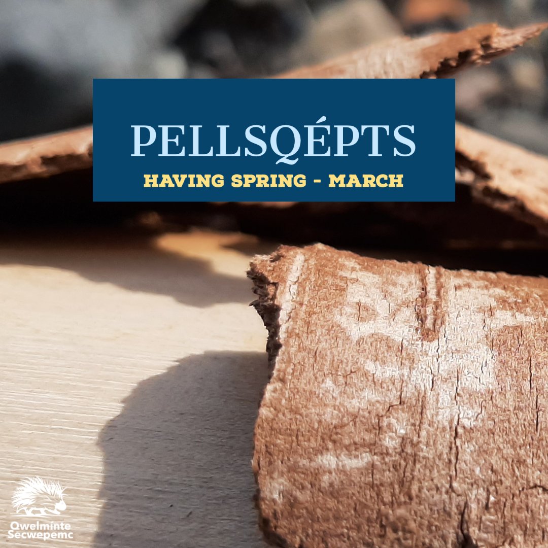 qwelminte's tweet photo. During this month, the snow melted in the valleys. The people fished by torchlight for Steelhead in the river.
#LanguageIsMedicine #Secwepemcstìn #march2022 #Pellsqépts #qwelmíntesecwépemc https://t.co/SgupMz8Zpe