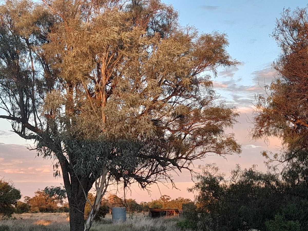 Hmmm.  

#asktwitter #ausag what is your number one operational level tip for staff management? 

How do you as farm manager ensure tasks (esp routine, largely unsupervised ones) are carried out effectively?

All in record keeping, checklist, apps?
Or your personal(ality) skill?