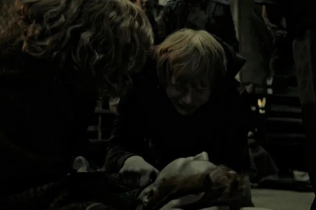 biscottara's tweet photo. Mi è entrato un patronus negli occhi 🥺😢 #HarryPotter https://t.co/lsJ2j8J1Kp