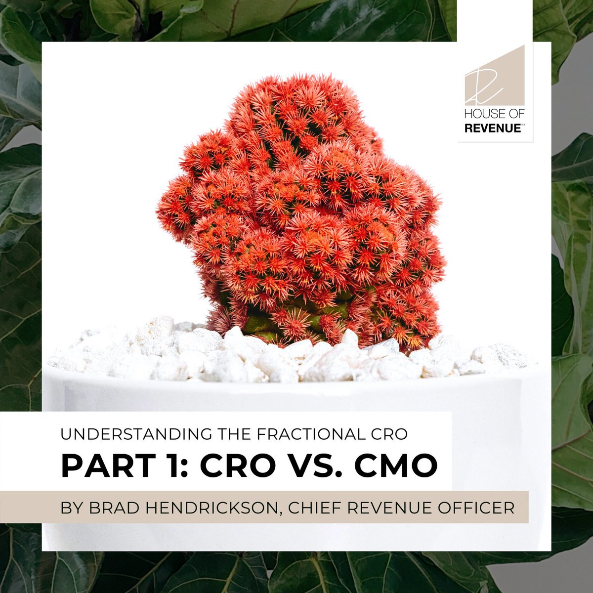 HouseofRevenue's tweet photo. Check out our latest article by Brad Hendrickson, CRO at House of Revenue™

🌟 "Understanding the Fractional CRO Part 1: CRO vs. CMO" 🌟

👉 https://t.co/XSLAjzKkpY https://t.co/Kc1pfOVlCs
