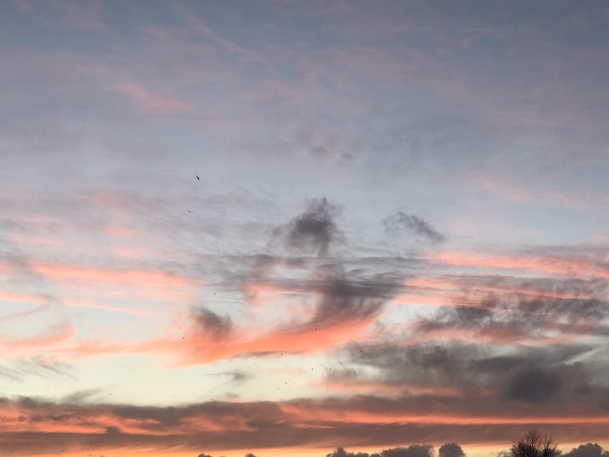 Beautiful sky in Falmouth this evening 😊 @KWTWeather @CornishSunsets @Cornwalllitwit1 @FalmouthTownUK @MilesCarden30 @HarbourFalmouth @VisitFalmouth @Kim83539559 @Cornish_Weather @gosia_bal @ILoveCornwallUK @bbcweather