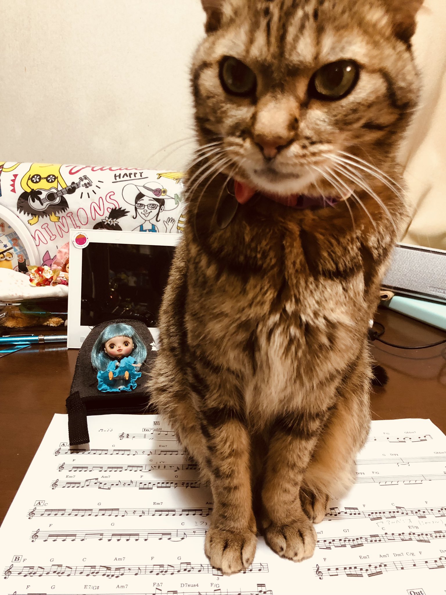 小田真由美 Arinco7874 Twitter