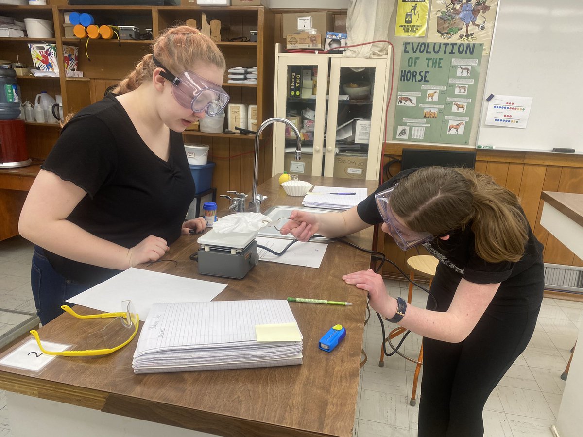 AnnaheimSchool's tweet photo. Science lab learning about physical and chemical changes. https://t.co/ftT73N2m8b