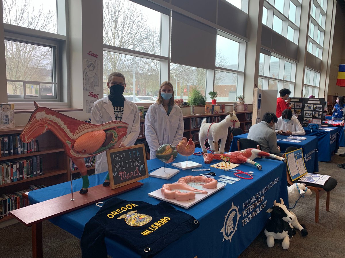 AVIDHawks's tweet photo. Our 8th graders got to learn about their career and college pathways as they start high school next year.  Go Spartans! https://t.co/IPlx2lPuXl