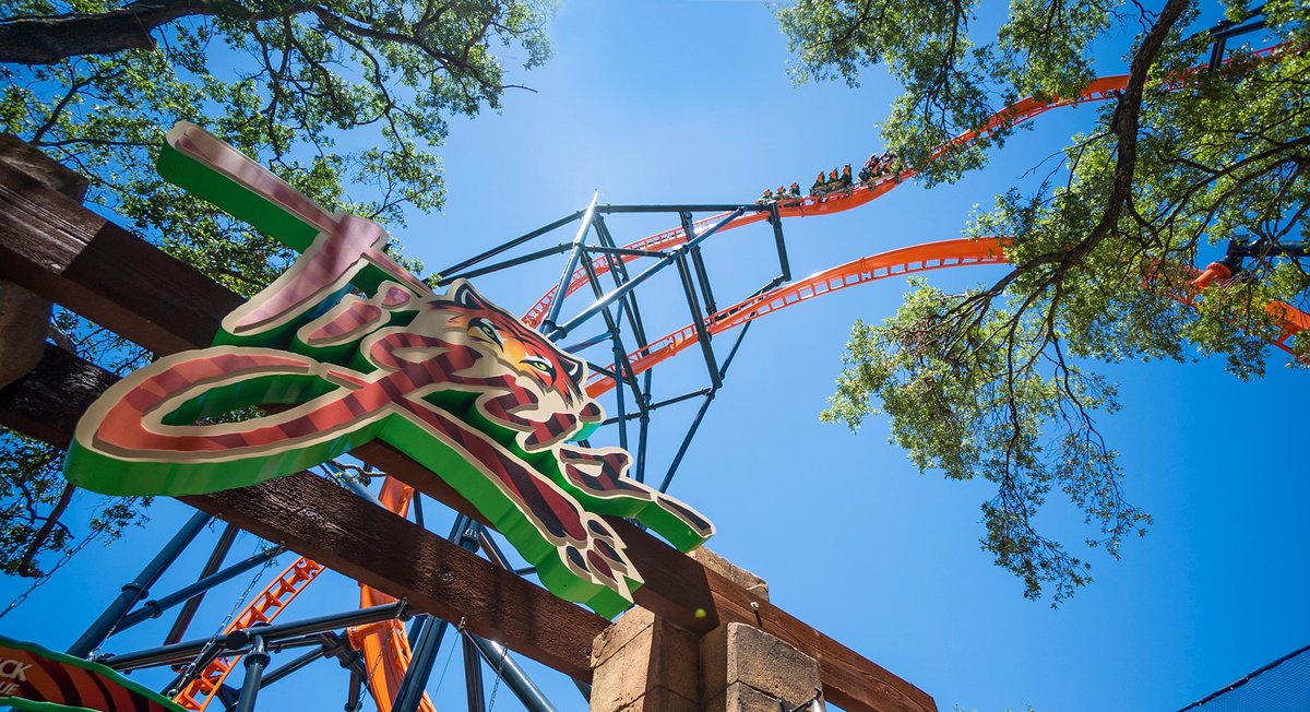 premierrides's tweet photo. Happy #WorldWildlifeDay! ππ
πβ‘οΈπ§βοΈ
We love to show our wild side with our themed rides! π’
@SeaWorld @BuschGardens @IAAPAHQ @TEA_Connect @AlaskaSeaLife
#EELectrified #Electriceel #TakeOnTigris #BreakTheIce #Anythingbutchill #CrazyCobra #SkyRocketII #SRII #LaunchCoaster https://t.co/dqQensjzN4