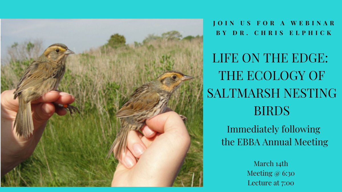 Eastern Bird Banding tweet media