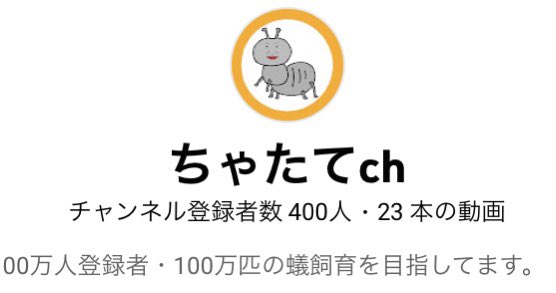ch_chatate's tweet photo. 400人いきました。���
本当に本職が忙しすぎて動画上げられず申し訳ございません。。
本当にそんな中でもご登録いただきありがとうございます。。 https://t.co/nSAnAoxyCw