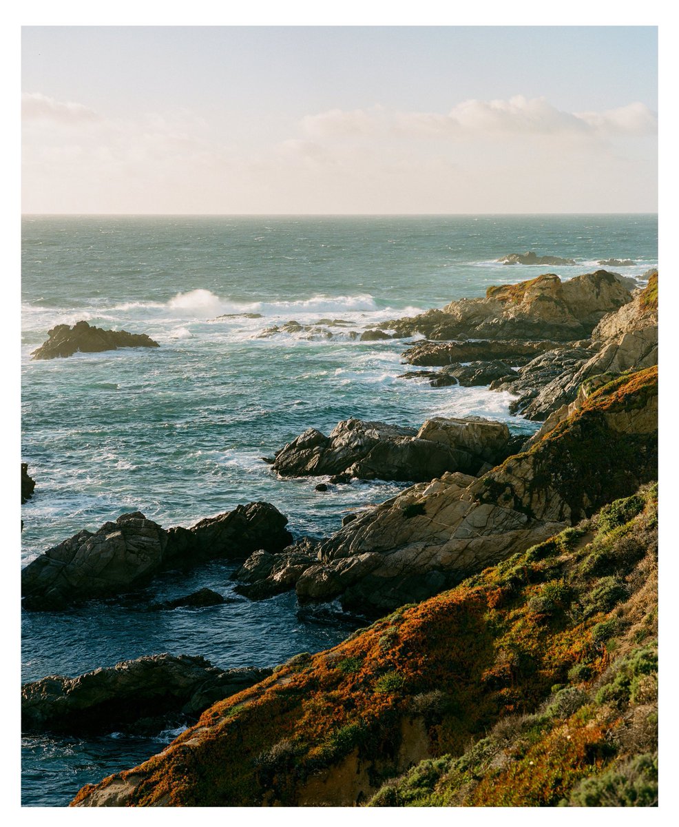 breezy big sur #mamiya7