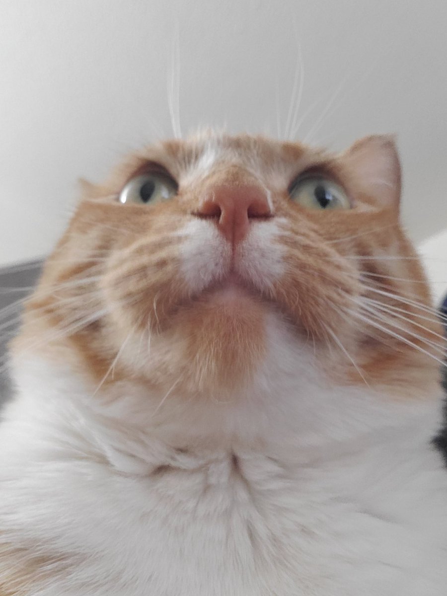 TormundTheTiny's tweet photo. Feeling Cool https://t.co/TjpE5Obom6
