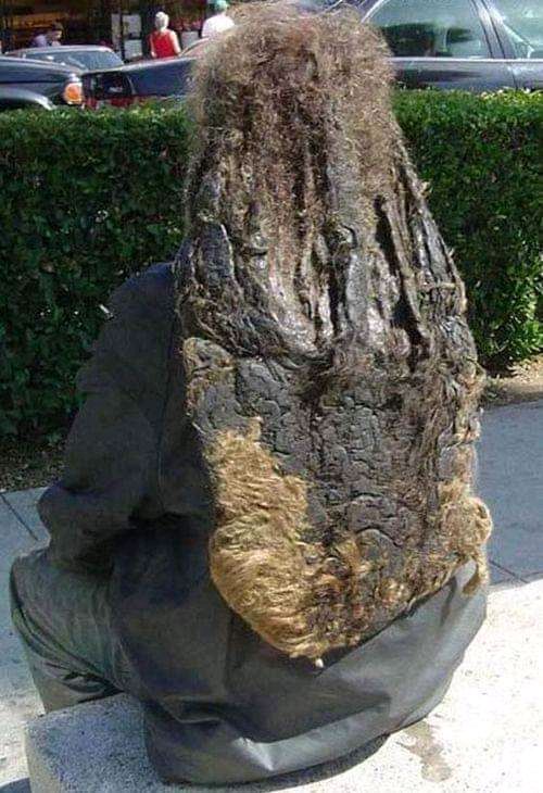 De que partido politico es?