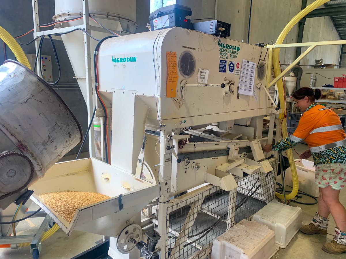 Another big week at our Bibra Lake HQ is coming to an end! Seed prep is well underway and we’re on track to meet our contractor trial seed delivery timelines for this season’s national program! #plantbreedinglife