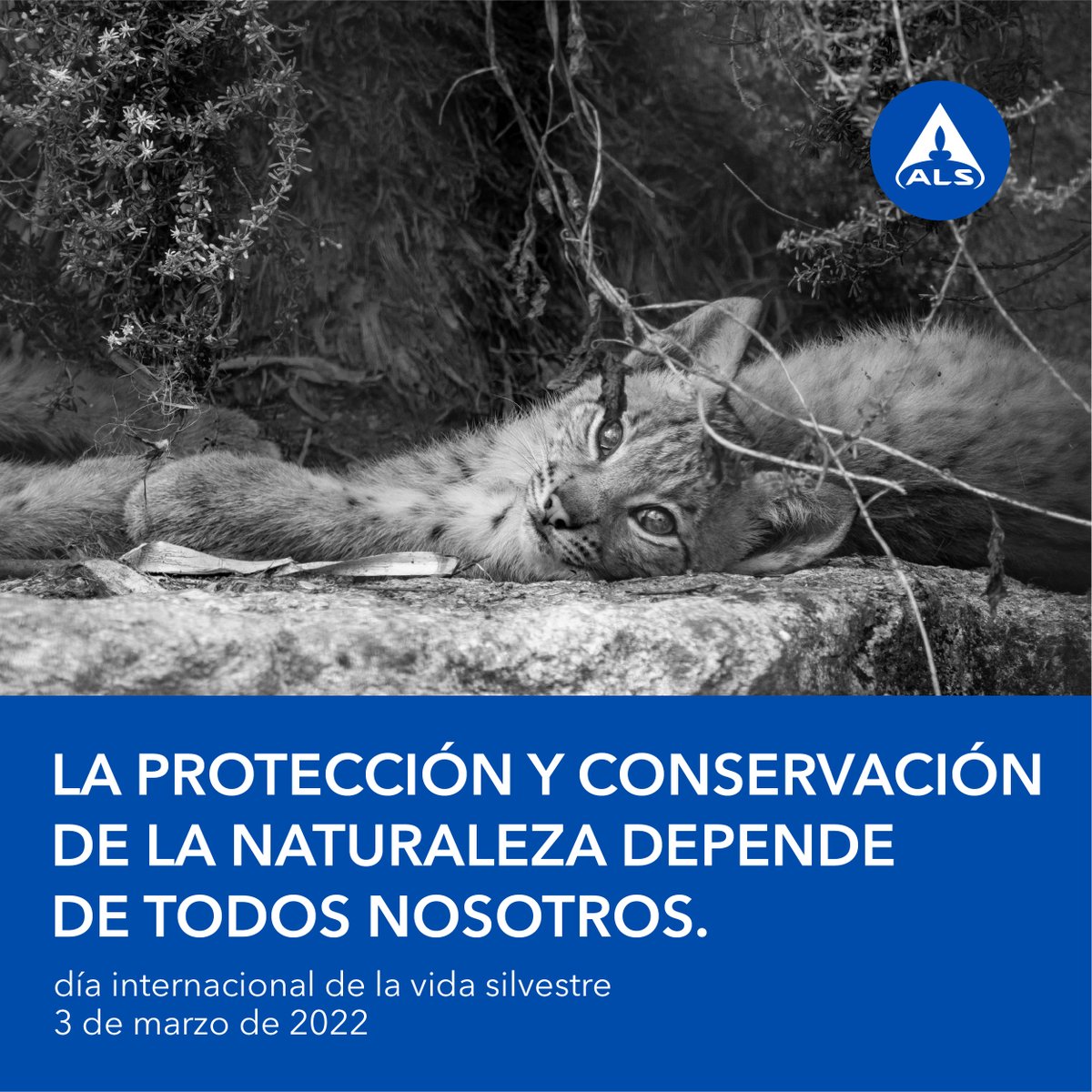 Comprometidos con nuestro entorno y con la naturaleza 💙

#diamundial #ALS #Aquimisa #Weare #rightsolutions #rightpartner #naturaleza #vidasilvestre