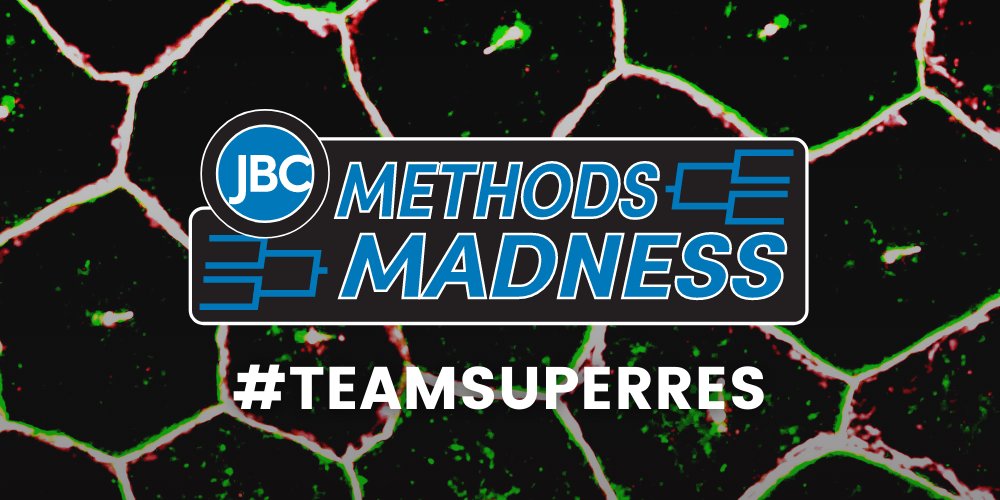 jbiolchem's tweet photo. #JBCMethodsMadness | Super resolution-imaging allows scientists to fully understand biological processes at a molecular level by overcoming the diffraction limit restricting subcellular resolution🔬

Will #TeamSuperRes make it to the #EnergeticEight?

https://t.co/mfVaISfynV https://t.co/HYxrzPXBRL