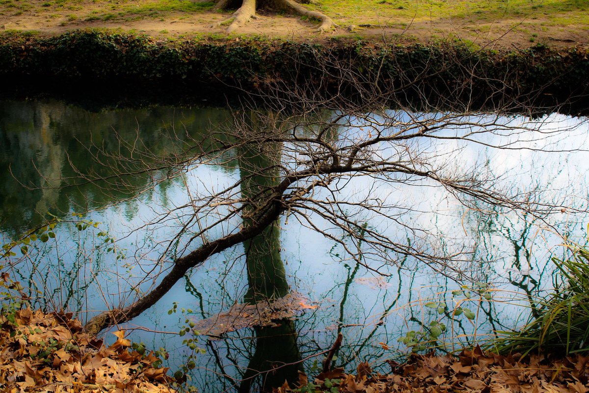 Good night Twitter 🌟✨️🌜
Peace be with you 🙏🏼🕊
💙💛🇺🇦🌿🌠