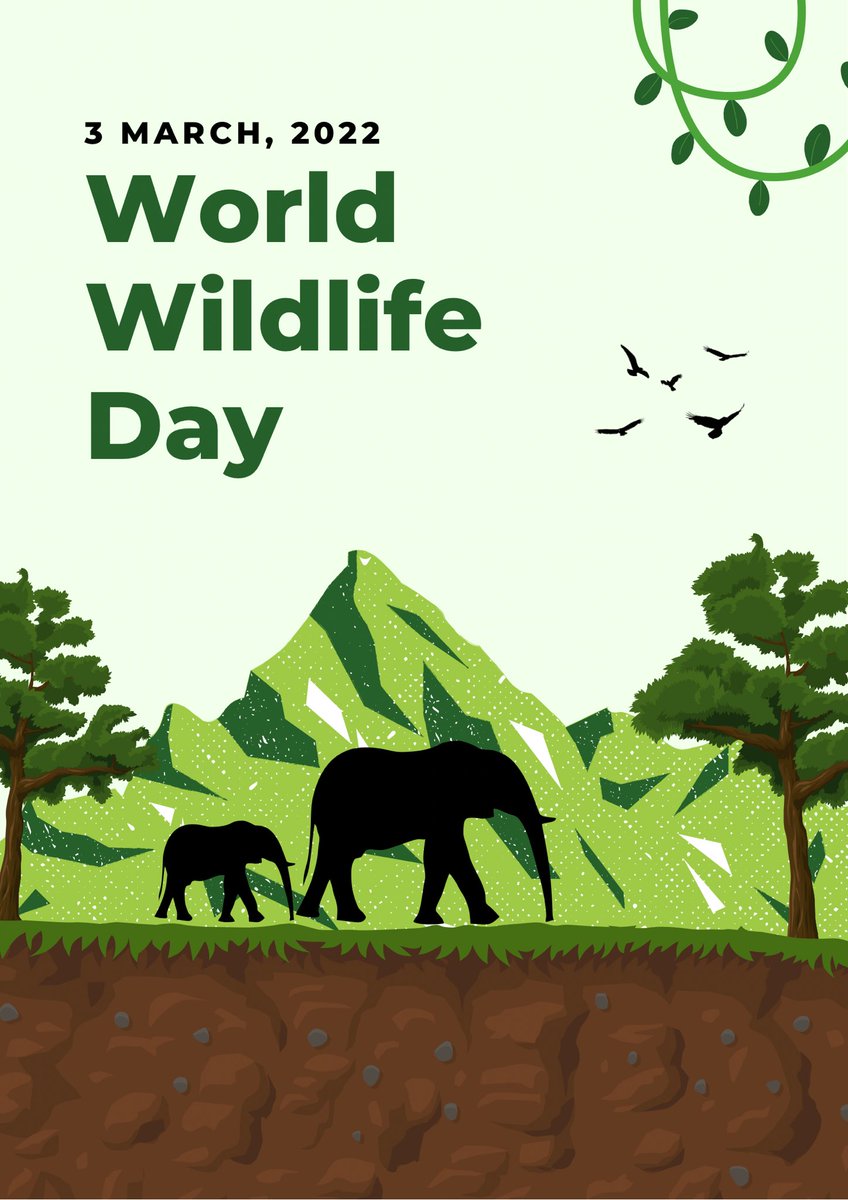 GCAAZKChapter's tweet image. 