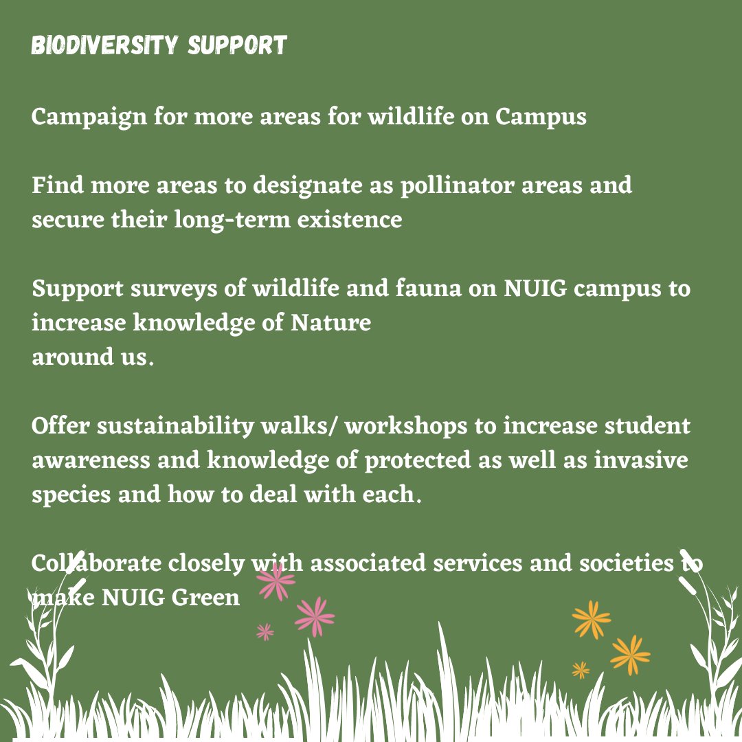 Malena4ev's tweet photo. 2nd part of my manifesto out just in time for #WorldWildlifeDay2022 #nuigsu https://t.co/pNEeKd8hDs