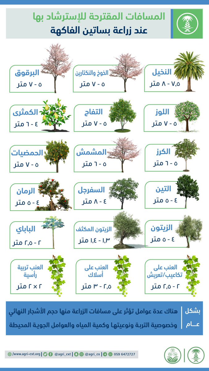 SaEngQuality's tweet photo. بالأرقام … أنسب المسافات بين الأشجار في بساتين #الفاكهة 🌴🌳 https://t.co/qCt20gtIUA