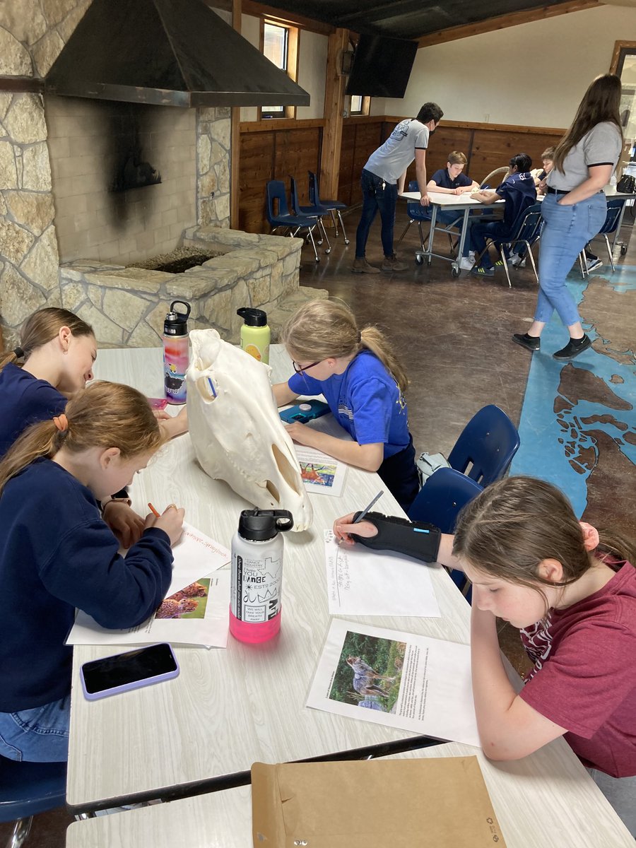 Bill Wendl tweet media