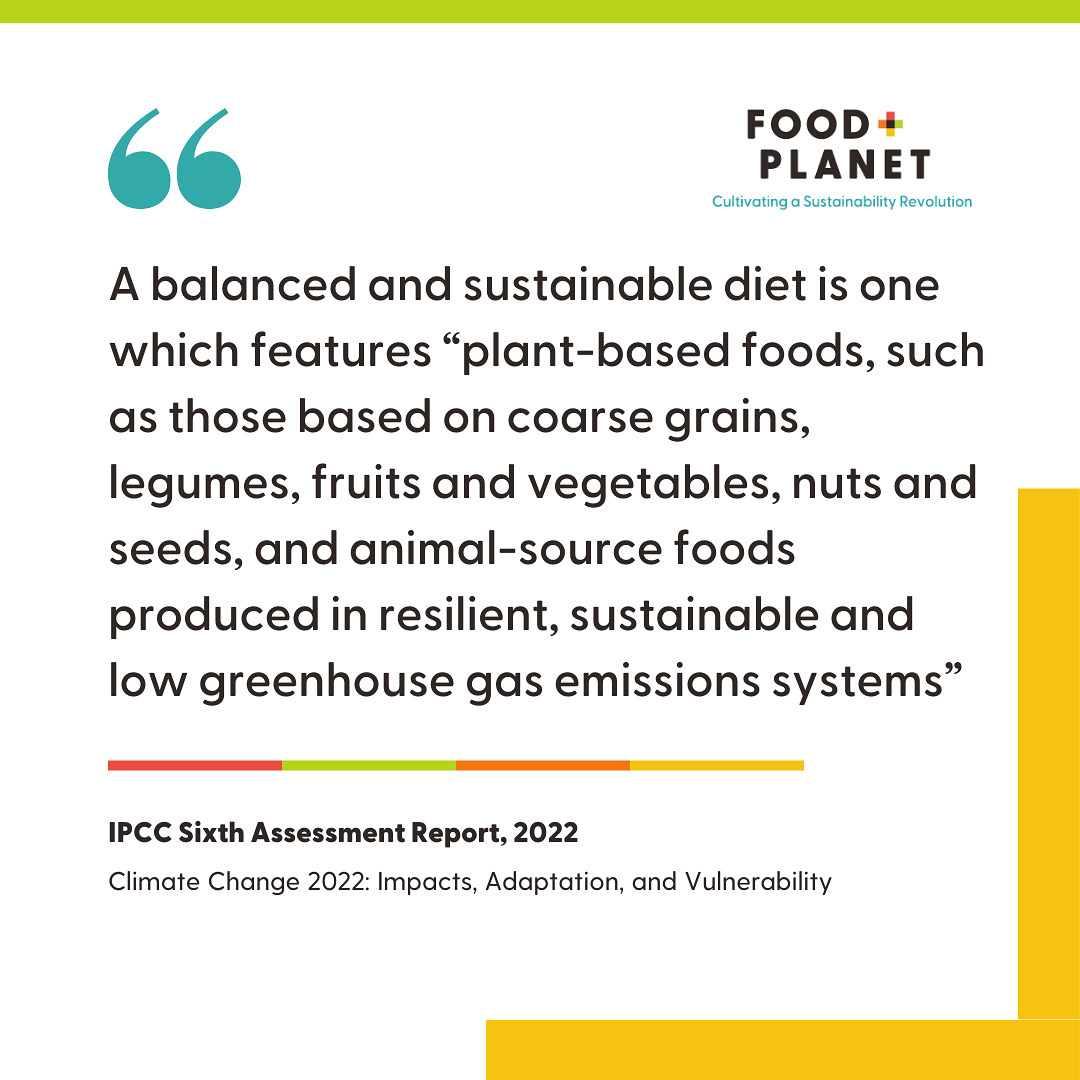 FoodPlanetOrg's tweet photo. The latest IPCC #climatereport highlights the importance of adopting a #sustainable and climate-resilient diet. Visit https://t.co/AWoEhfc1F3 to learn more about how you can help encourage the transition to more #climatefriendlydiets! https://t.co/2Zs0TDULgQ