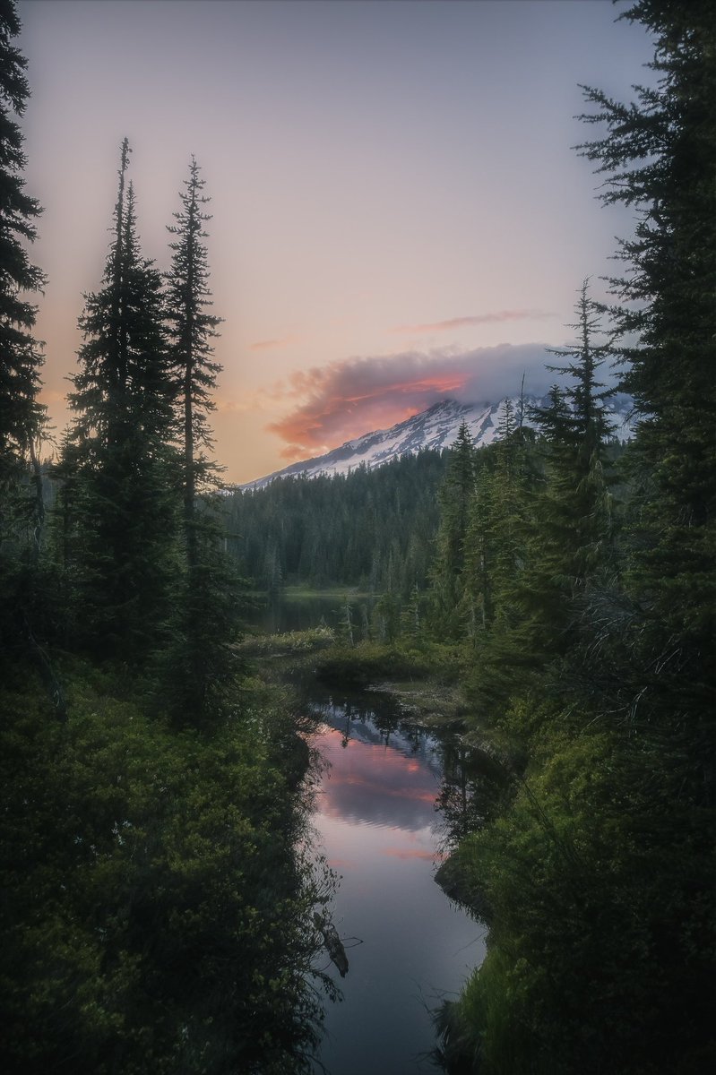 ‘REFLECTION’
#NFTLiverpool 
#photography 

foundation.app/@EthanLington/…