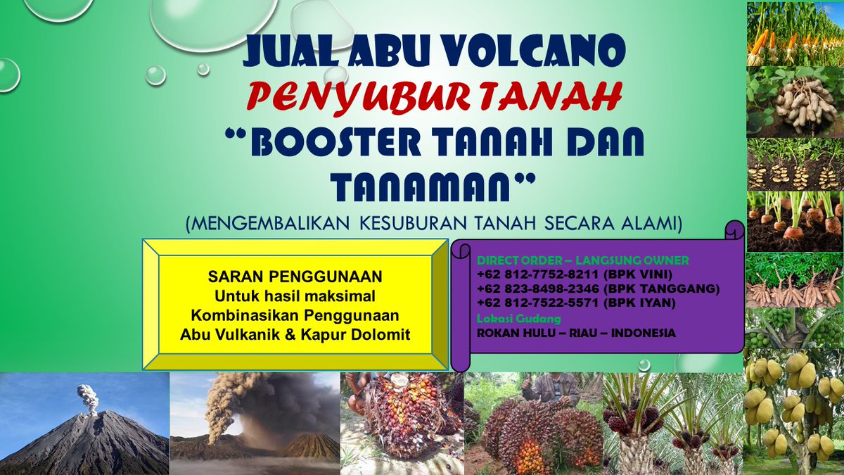 0812-7752-8211 Penjual Pupuk Sawit Abu Vulcanik (Pembenah Tanah Perkebunan) ORIGINAL di Rohul Riau  pembenahtanah-perkebunan.blogspot.com 
#rohul, #rokanhulu, #riau, #pupuksawit, #pembenahtanah, #pembenahtanahsawit, #jualabuvulkanik, #abuvolcano, #abuvulkanik, #rabuk, #pupuk,  #pupukorganik,
