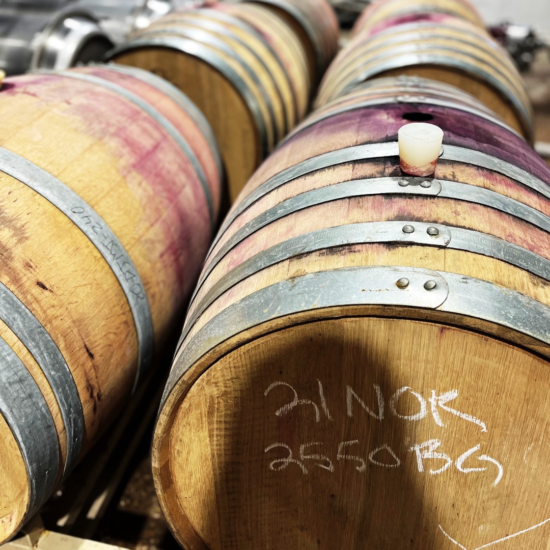 Geared for Phelps (GearedforPhelps) Twitter