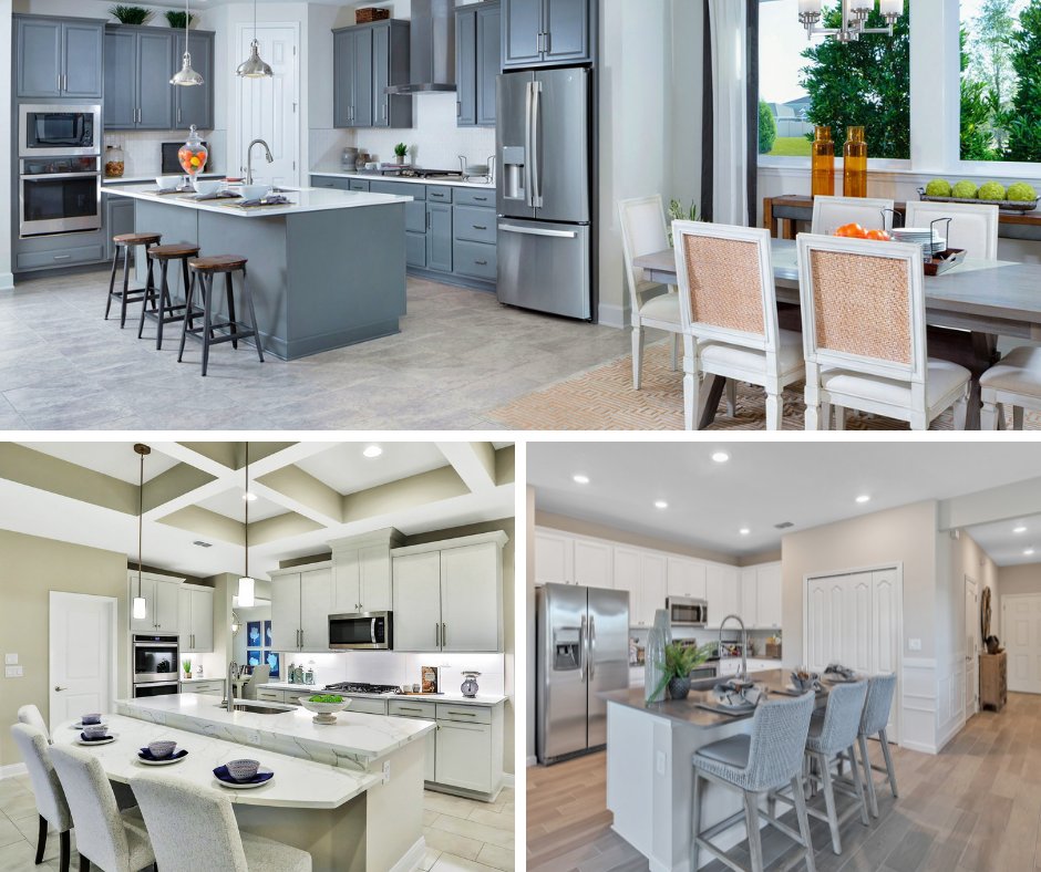 Shearwater Life tweet media