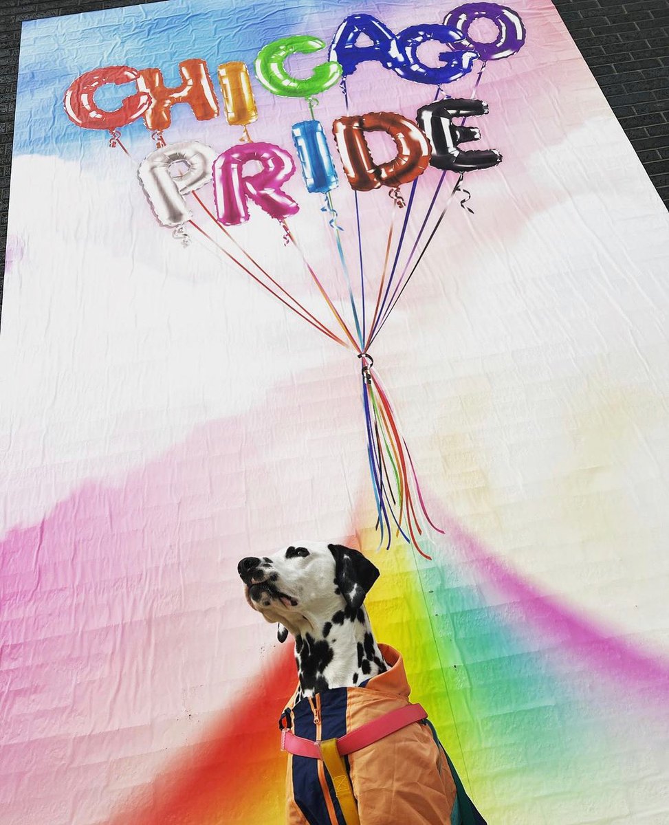 Northalsted's tweet image. 🌈🎈"Chicago Pride" is one of the new @Northalsted #WalkWithPride murals, located on North Halsted between Addison &amp;amp; Waveland. ❤️🐶 Show your #Pride and tag us in your pics! 📸 via Insta @ hudsonberryfinn #Chicago #lgbt #Pride2022 #lgbtq #gayborhood