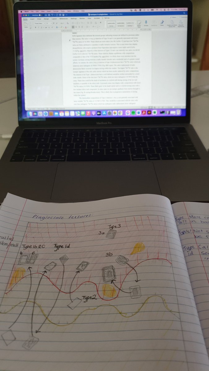 CockerKate's tweet image. The story keeps changing in my current paper. Bitter sweet feelings, exciting for the science but not for the writer....me haha. 🤪🤌 #AcademicTwitter #AcademicChatter #PhDForum #PhD_Guru