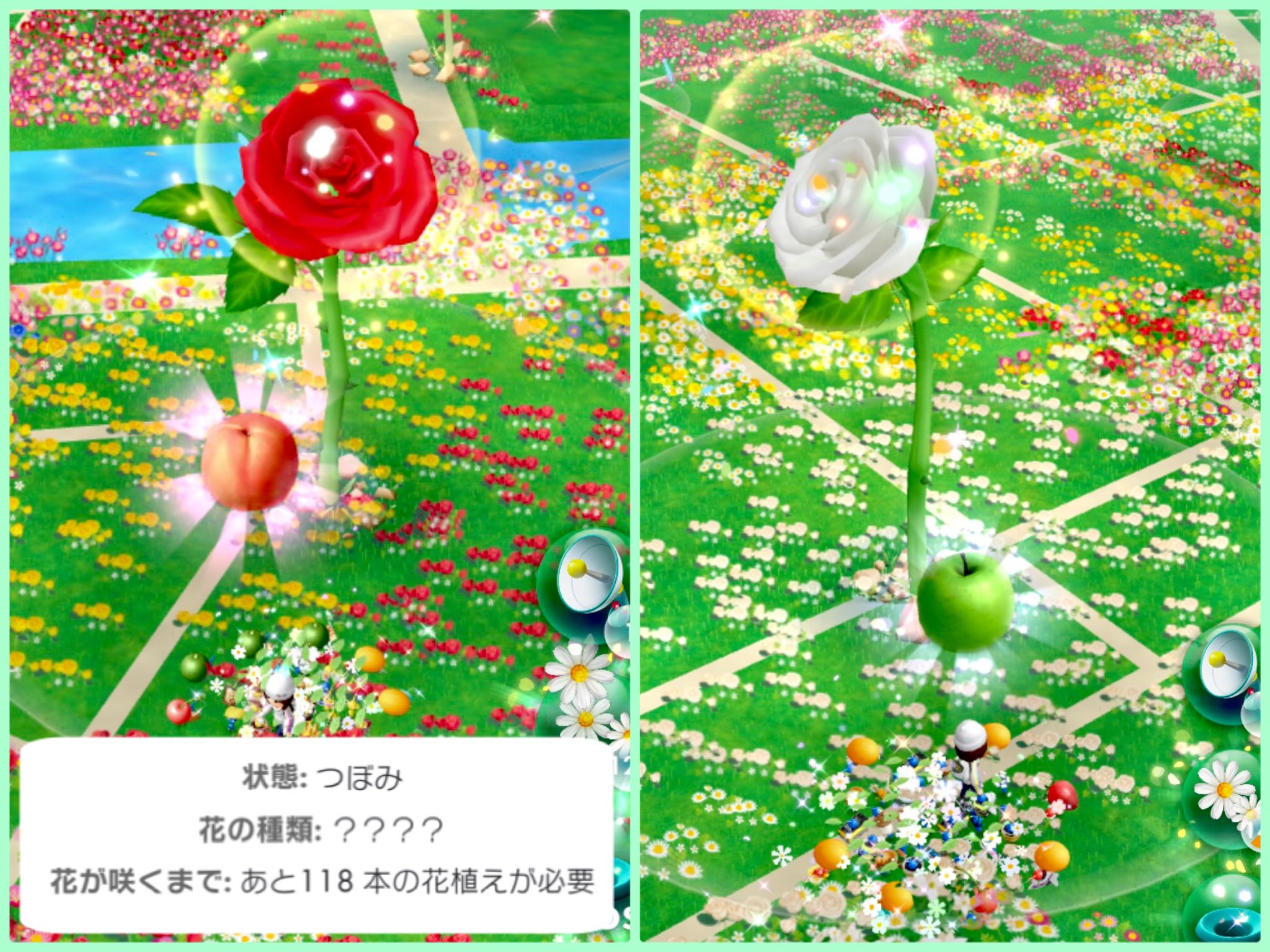 かのこ Pikmin Bloom Kanoko55pik Twitter
