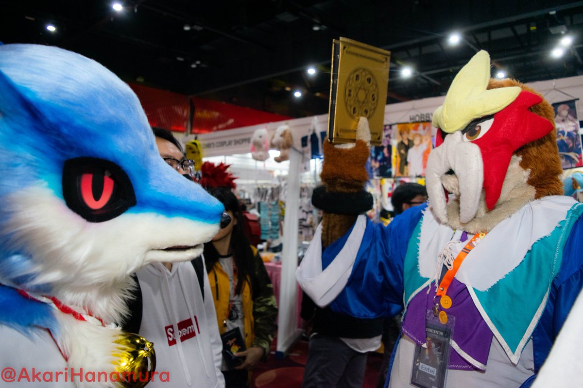 AkariHanamura's tweet photo. #FursuitFriday
#AMG2018
💙 @BlueHawaiichan
♥️ Entei Sum https://t.co/mZWw2rlDdF