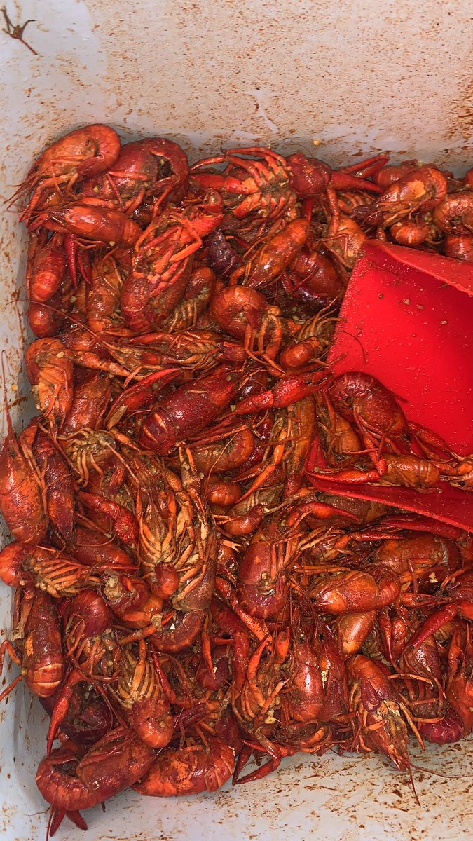 perfect weather for cheap crawfish