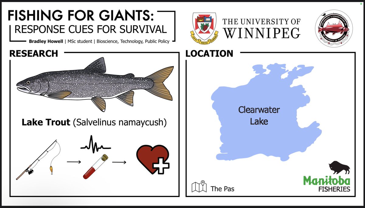 Bradley E. Howell tweet media