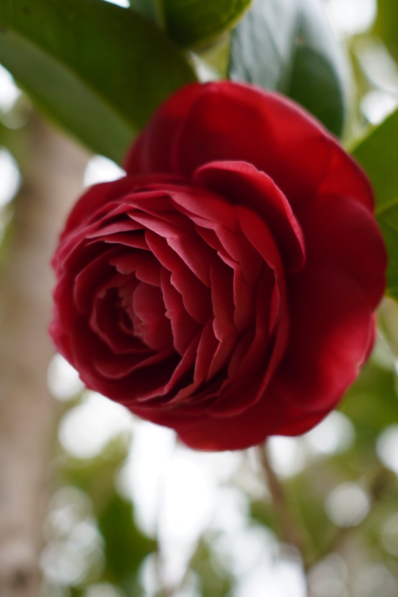 jerritama🐈🐟🐈 (@jerritama) on Twitter photo 