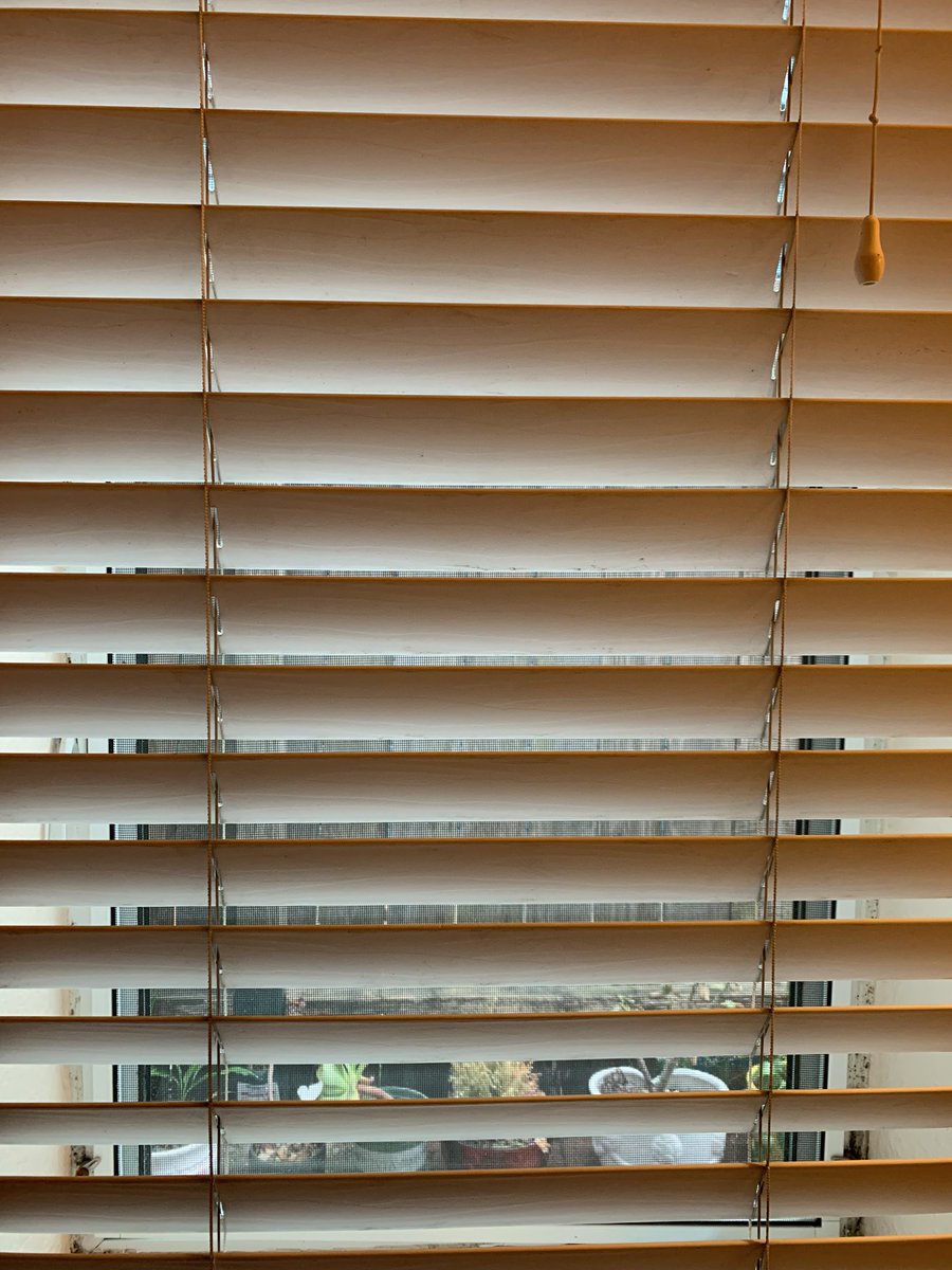 SpencerPI.com tweet media