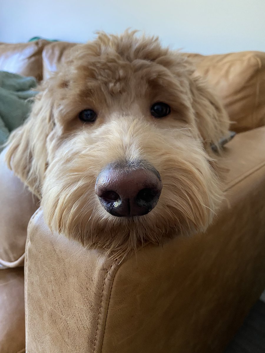 Nick Harris tweet media