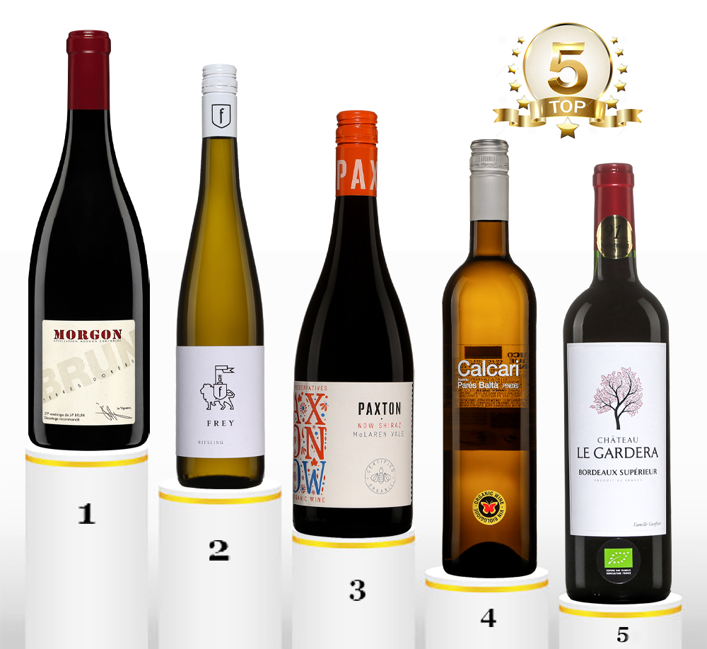 Parmi les dizaines de #vins dégustés en février 2022, j'ai réalisé pour vous un palmarès de 5 vins qui selon moi proposent plusieurs belles caractéristiques en regard du prix demandé. Voir ici 👉👉 bit.ly/35r83l6 #wine