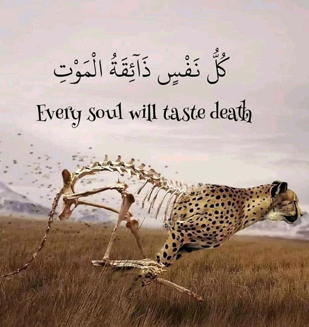 ____Muslim___'s tweet image. 