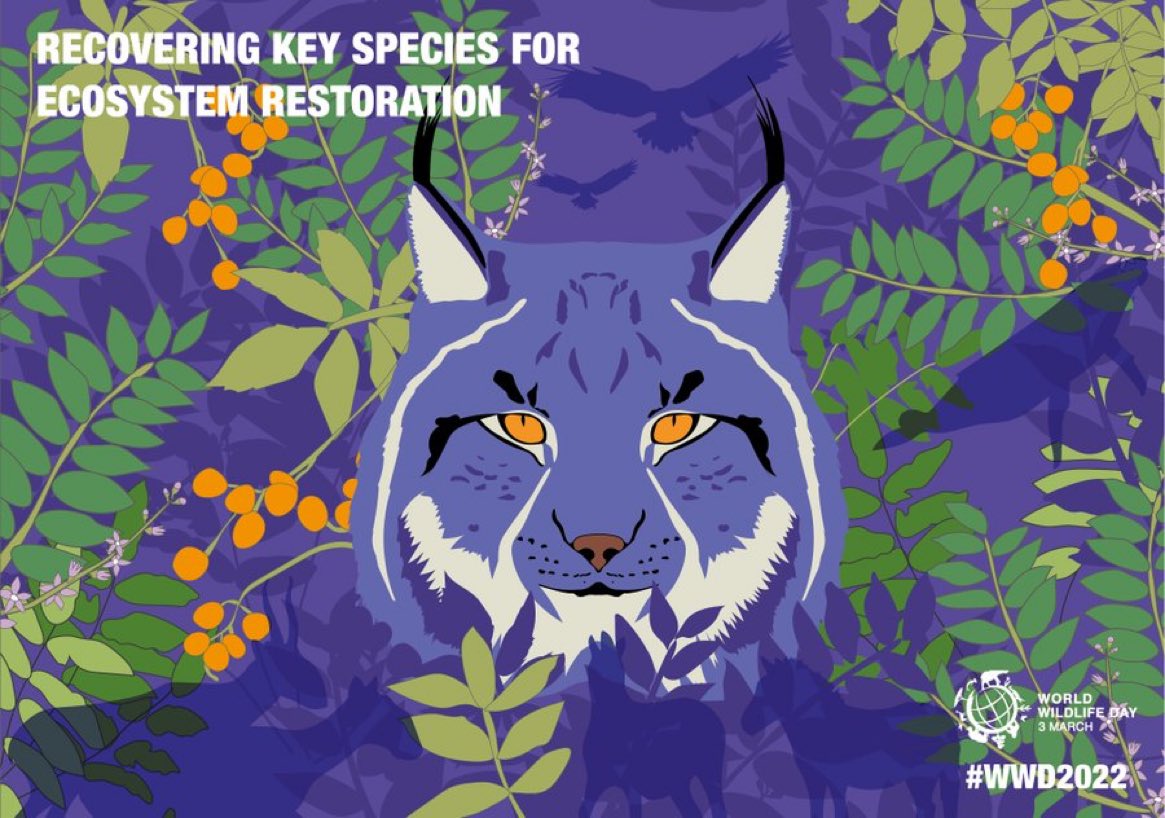 Today is #WorldWildlifeDay 🌏

Almost 70% of wildlife has been lost in the last 50 years.

This #WWD2022, let's commit to supporting the conservation of vulnerable plants and animals.

Learn more 👇
wildlifeday.org

#RecoverKeySpecies