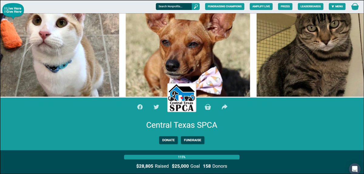 THANK YOU!!! Heartfelt thanks to everyone who helped our shelter in the <a href="/ILH_IGH/">I Live Here I Give Here</a> #AmplifyATX event! We surpassed our $25-thousand goal and will see that number rise even higher thanks to generous matching funds! We couldn't do our pet-saving work without you!