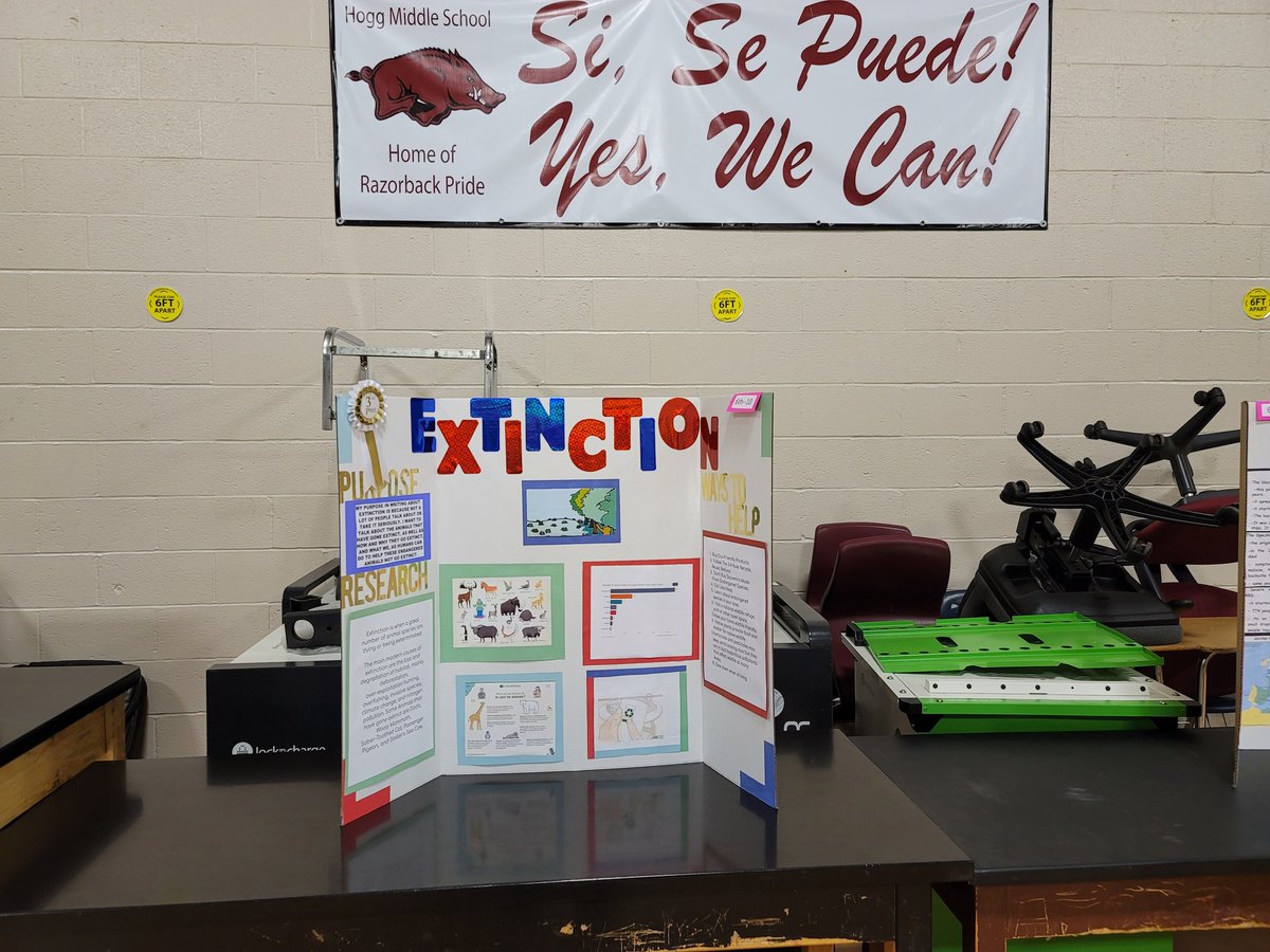 Tyler ISD AVID (@tylerisdavid) on Twitter photo First ever #AVID ACADEMIC FAIR <a href="/HoggTylerISD/">Hogg Middle School</a> tonight! Amazing turnout by Ss and Ps! Job well done by 6-8th grade AVID students!!! Thank you <a href="/Msellis78/">Lisa Ellis</a> <a href="/JDSimmsOfETX/">Justin Simmons</a> for your dedication to students! Thanks <a href="/ECHSTylerISD/">Tyler ISD Early College High School</a> for sharing info! <a href="/TylerISD/">Tyler ISD 🏛</a> <a href="/RadersAVIDclass/">Jennifer Rader</a> <a href="/CCMTylerISD/">Tyler ISD College, Career & Military</a> First ever #AVID ACADEMIC FAIR <a href="/HoggTylerISD/">Hogg Middle School</a> tonight! Amazing turnout by Ss and Ps! Job well done by 6-8th grade AVID students!!! Thank you <a href="/Msellis78/">Lisa Ellis</a> <a href="/JDSimmsOfETX/">Justin Simmons</a> for your dedication to students! Thanks <a href="/ECHSTylerISD/">Tyler ISD Early College High School</a> for sharing info! <a href="/TylerISD/">Tyler ISD 🏛</a> <a href="/RadersAVIDclass/">Jennifer Rader</a> <a href="/CCMTylerISD/">Tyler ISD College, Career & Military</a>