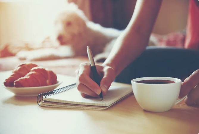LitStack's tweet photo. "You must be willing to write with no inhibitions, with no concern of what others may think of you." 

Don't miss #Litstack EIC, @teetate, on Practical Tips for Beginning Writers. ✨ https://t.co/TJ9xF9YmFj #amwriting #WritingCommunity #WritersCafe https://t.co/Al4EiFPjvu