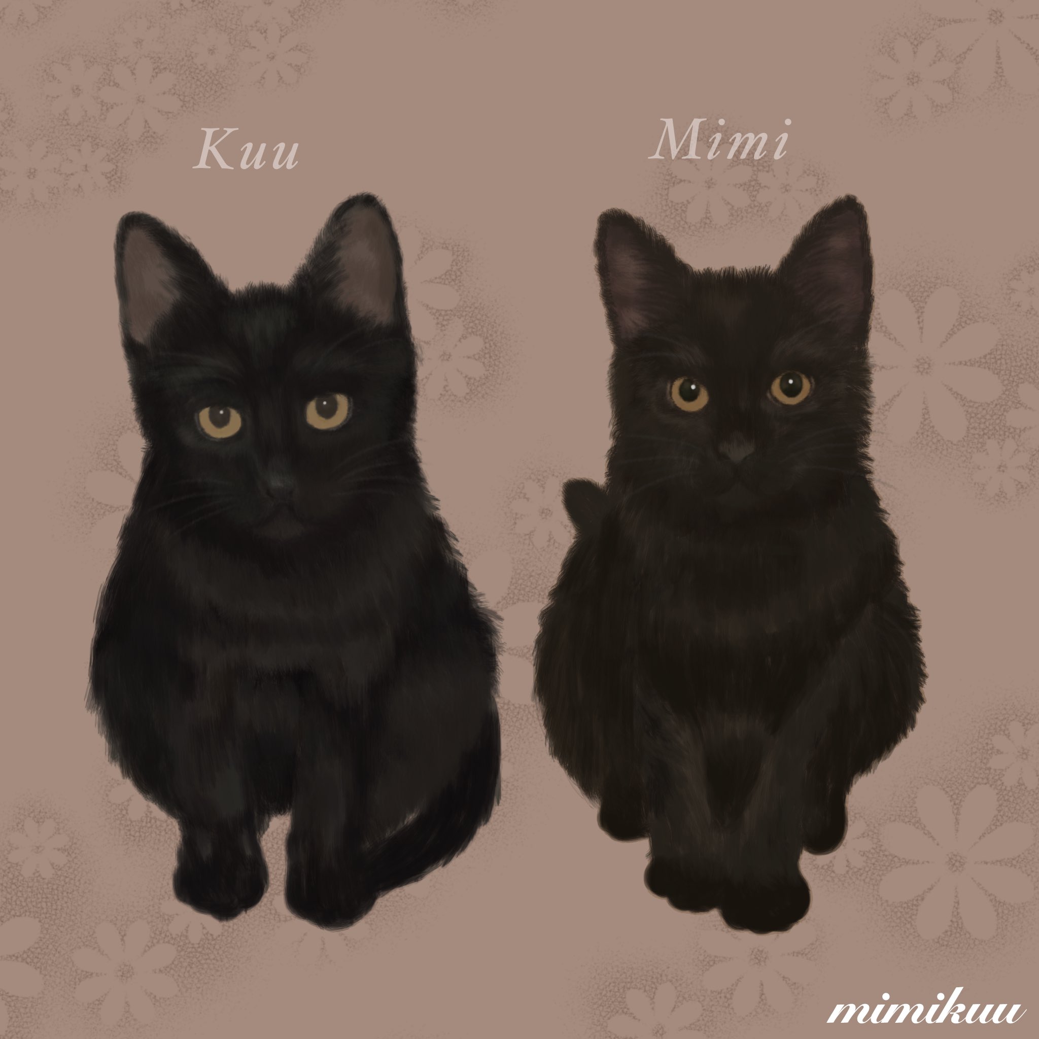 Follow 双子の黒猫 ミミとクー S Mimikuucat Latest Tweets Twitter