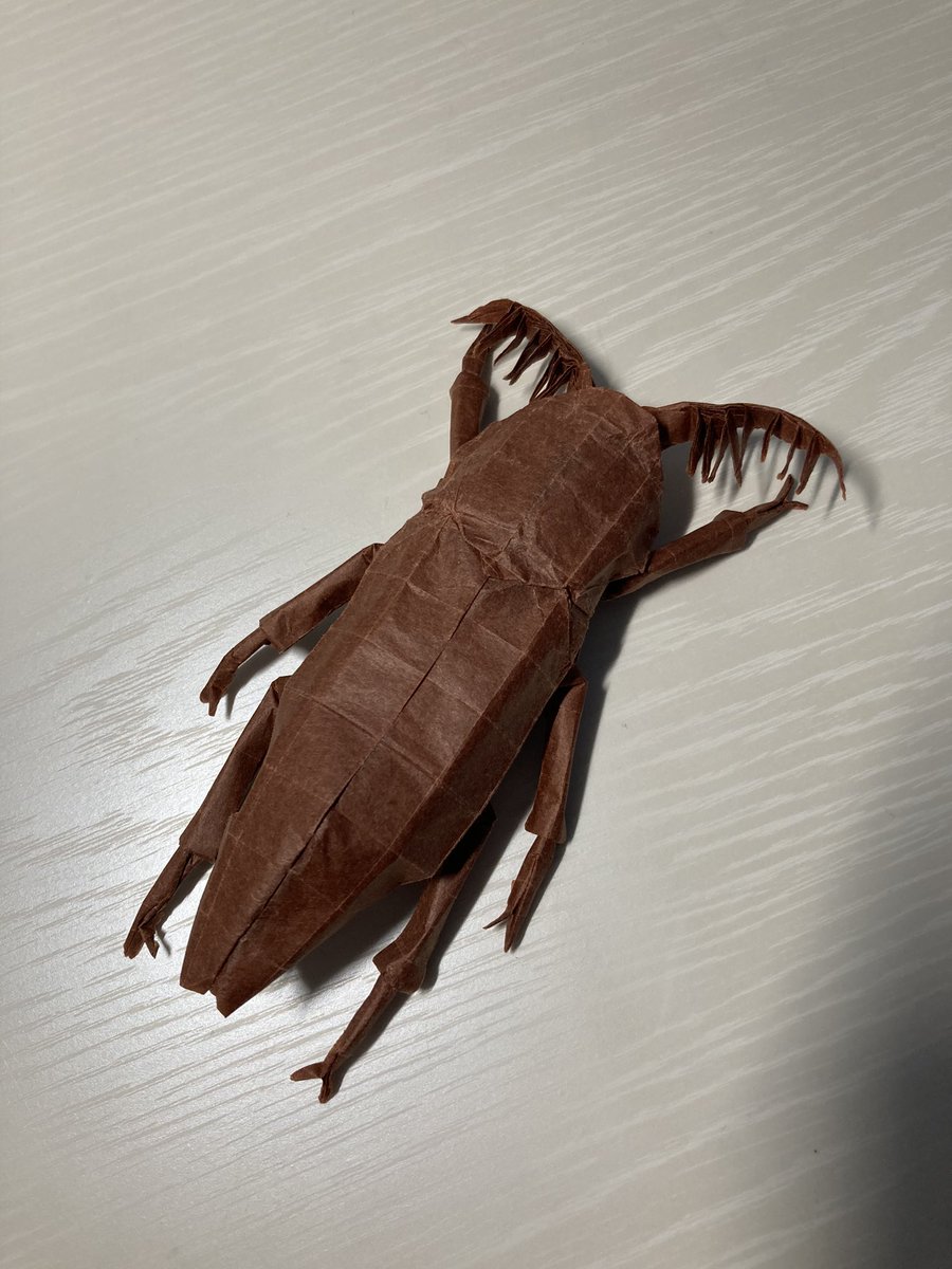 Robert J Lang さんのEuthysanius  Beetle折りました。蛇腹の折筋が残ったりしてあまりきれいに折れなかったけど…