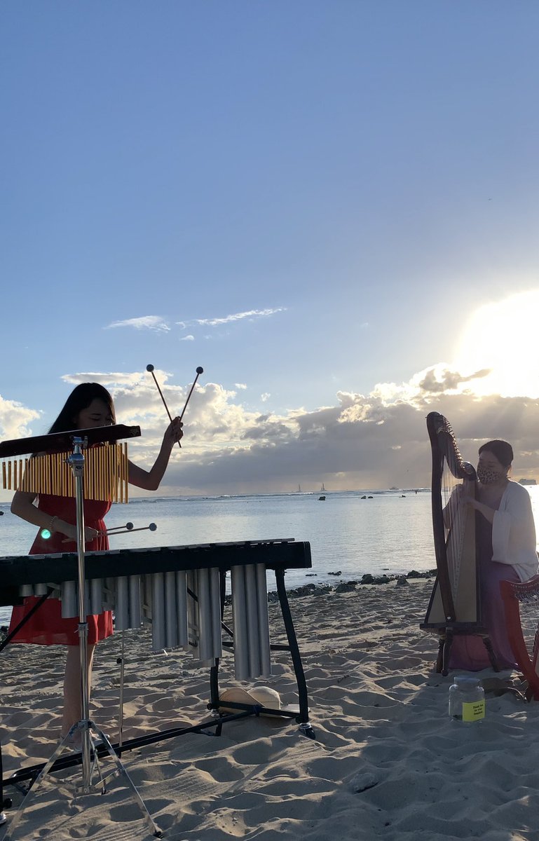 Vibraphone and Harp. Great combination🎵