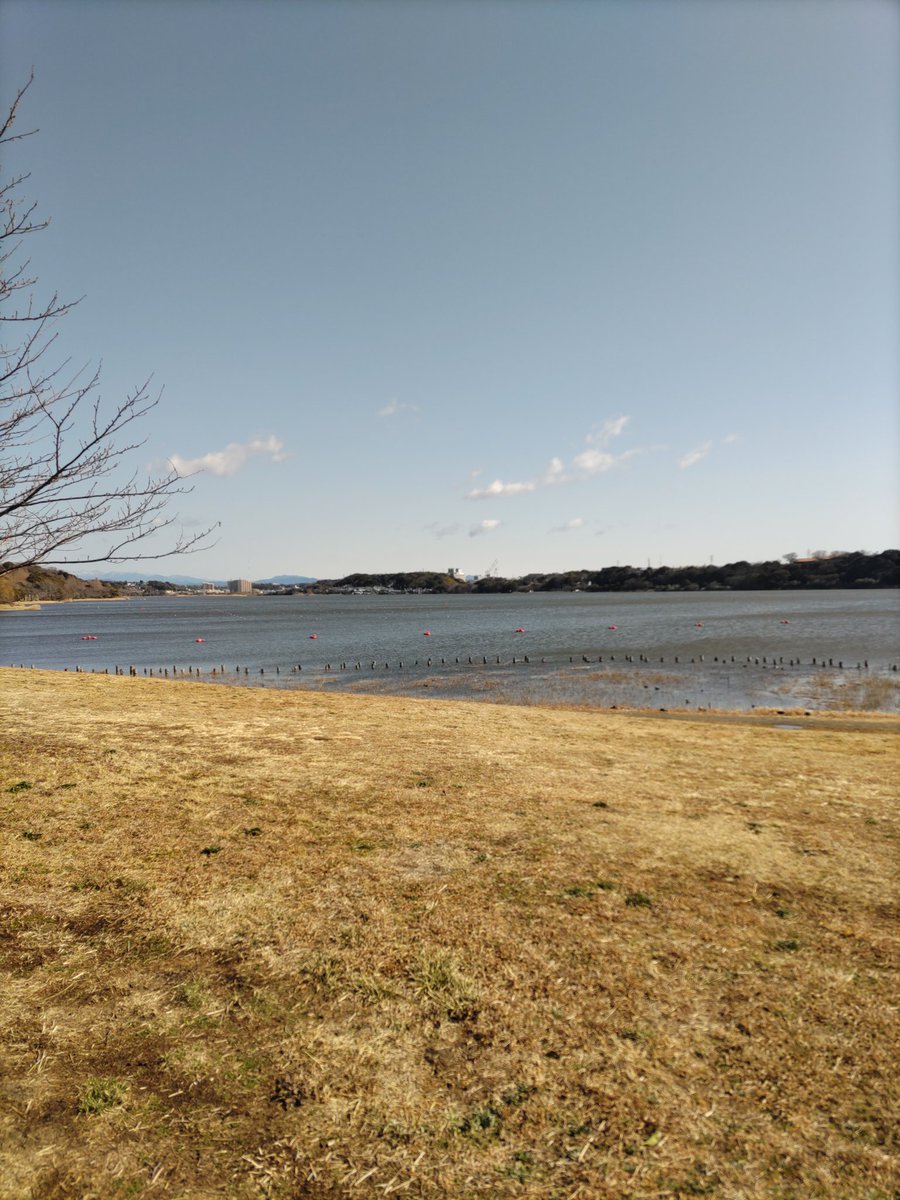 daisuke8722's tweet photo. 佐鳴湖公園CleanWalking🚶

約2時間位歩いたけどそれなりにゴミがある💦
タバコ🚬や何故かマスク😷
小さな一歩だけど、続けていこう🎵

#佐鳴湖公園
#CleanWalking
#自然を綺麗に
#身体を健康に https://t.co/GOItNCncbI