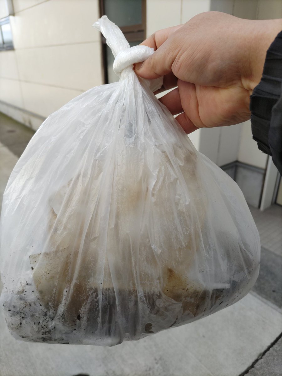 daisuke8722's tweet photo. 佐鳴湖公園CleanWalking🚶

約2時間位歩いたけどそれなりにゴミがある💦
タバコ🚬や何故かマスク😷
小さな一歩だけど、続けていこう🎵

#佐鳴湖公園
#CleanWalking
#自然を綺麗に
#身体を健康に https://t.co/GOItNCncbI